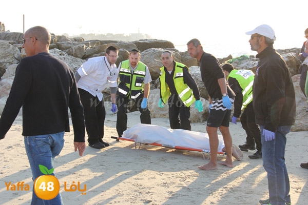 jotha northyaffa dolfan (2).JPG